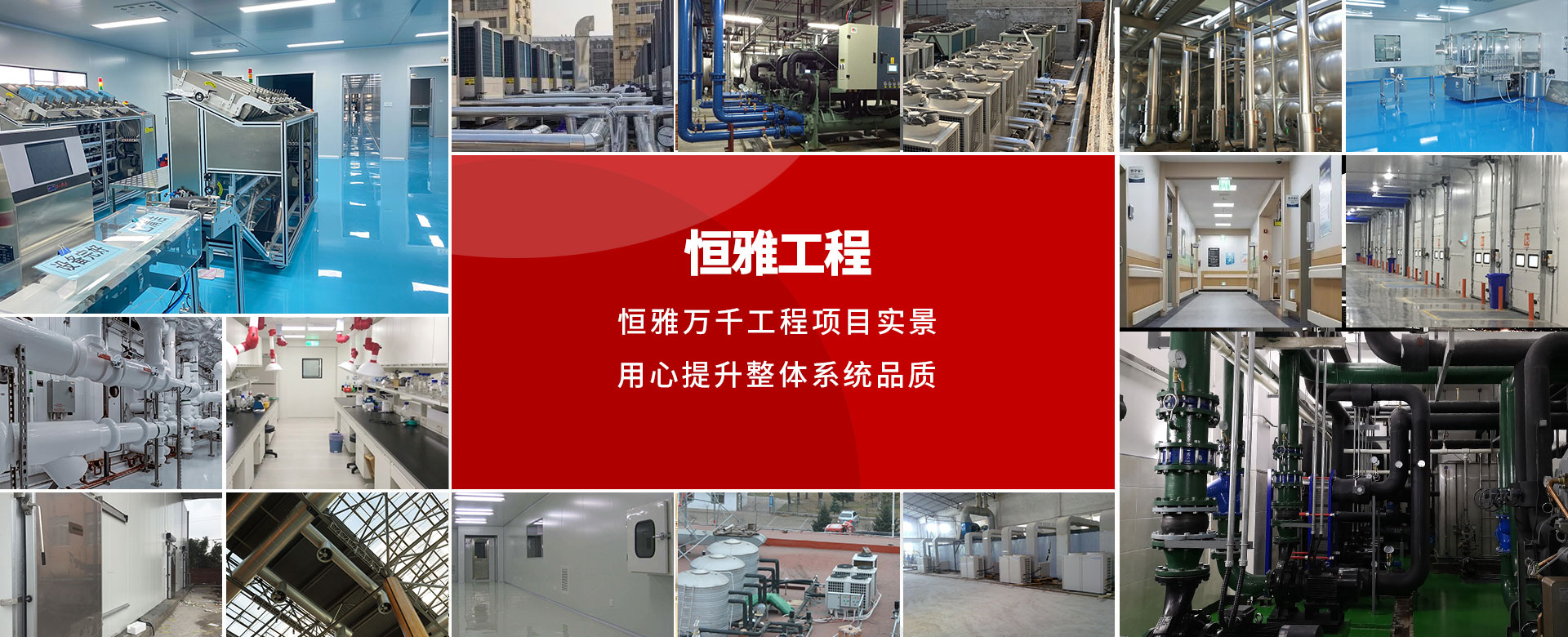 һ�������Ϊ�������������б�ɹ���Ӧ��