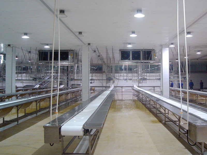 食物公司宰鸡项目1万吨高架库制