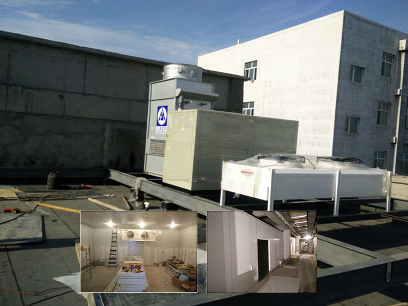 �½��ɹ����������Ŀ