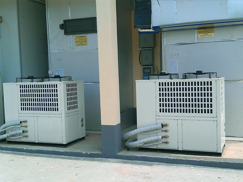 ����ľ�Ϻ��