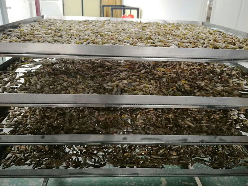 ����Ұ��ʯ����ɻ���Ŀ