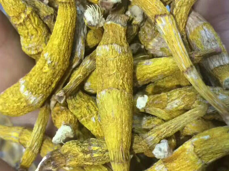 ����Ұ��ʯ����ɻ���Ŀ