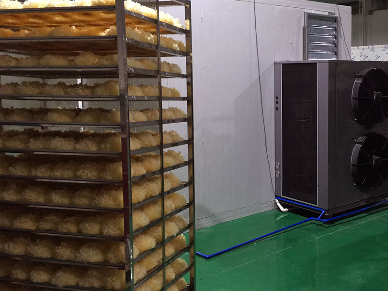 ����������ɻ���Ŀ