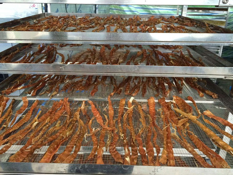 ������������Ŀ