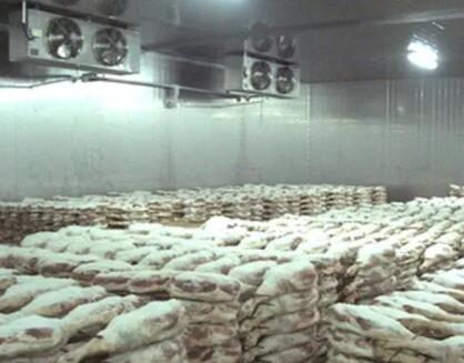 ����������������˼����Щ����