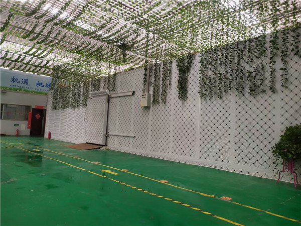 רҵ�ù����װ�����Ӧ��ע����Щ?