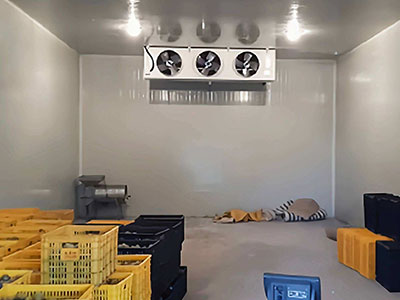 ����һ����ʶ��Ӱ���������ϵͳ����Ч������������Щ�� 