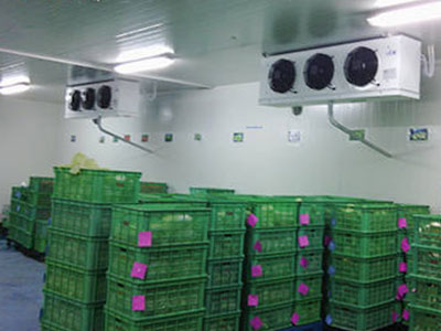 �߲�ˮ�����������ı��������������� 