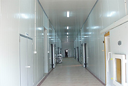 ����������೧�������ö�