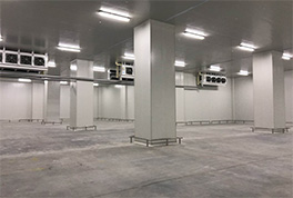 ׼ʱ��������������徲����