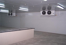 ����ֱ�����ĺ��ѡ��