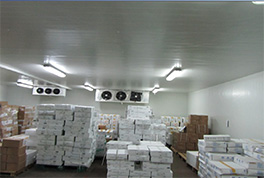 ���ֳ����ı�������ùҪ��