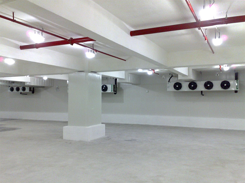 5000ƽʳ������䶳��Ľ� -18�涳��������� 